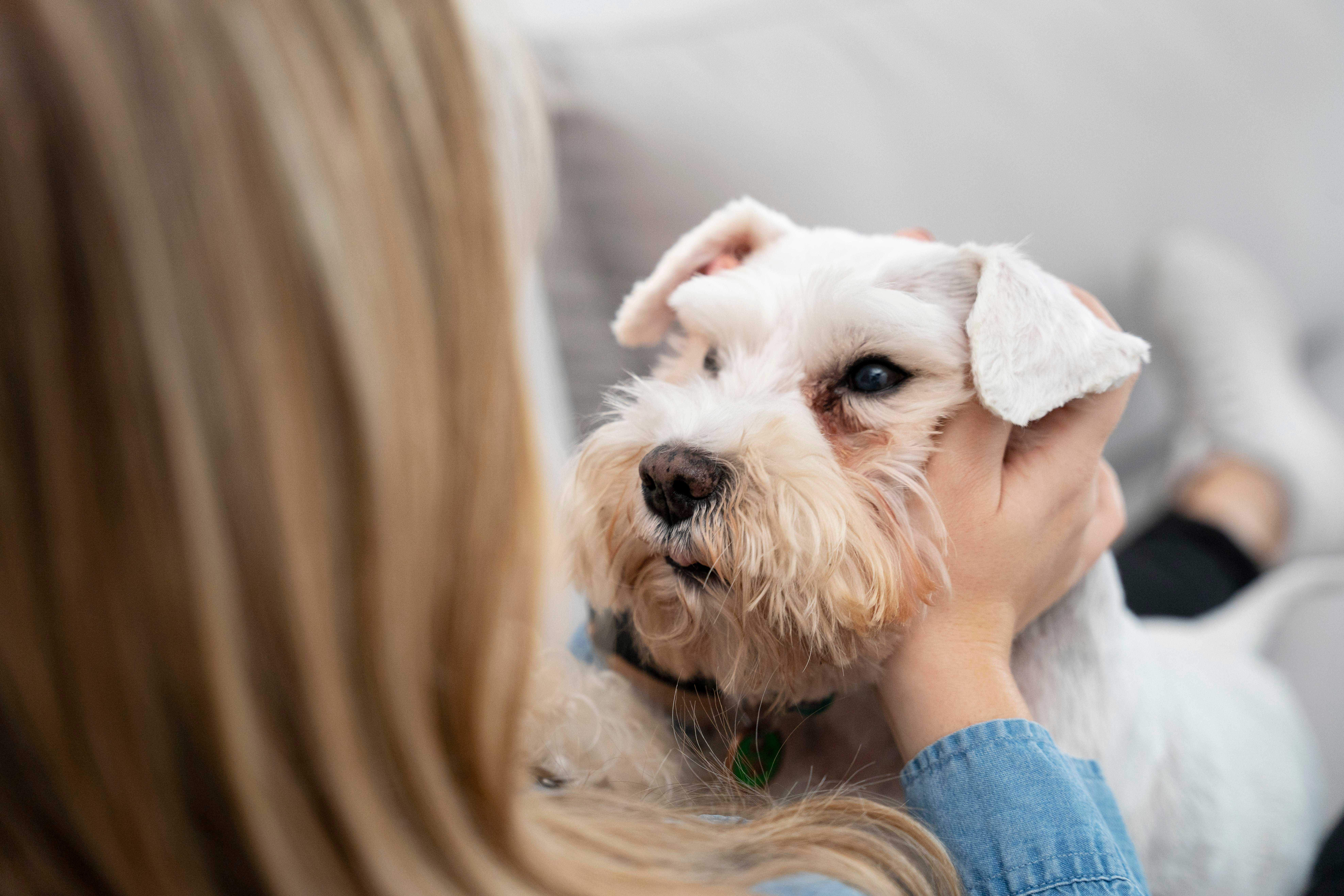 Dermatologista Landing Image