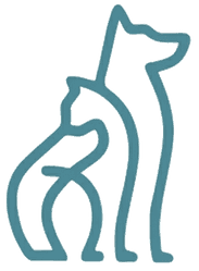 Logo Saúde Animal Cruzeiro